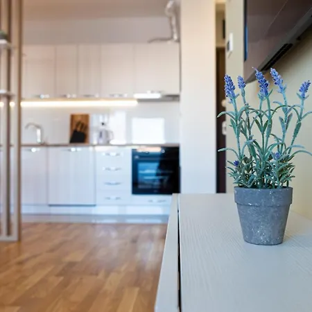 Apartment M&t Novi Sad
